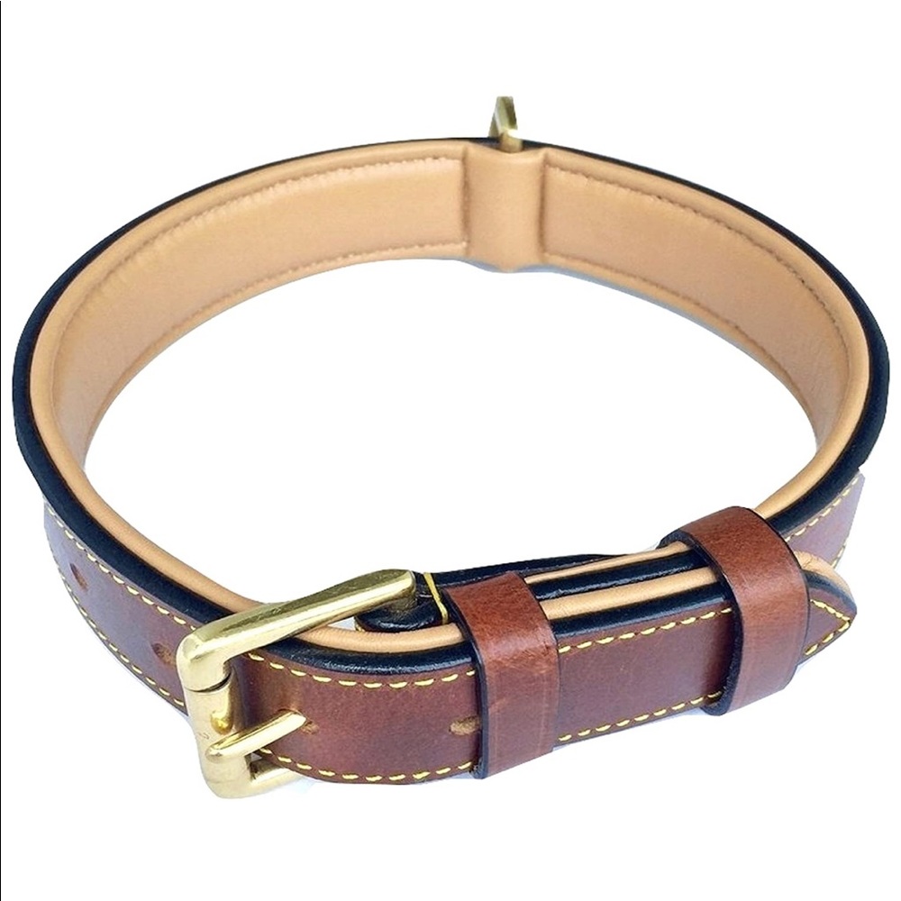 Medium size Padded leather dog collar